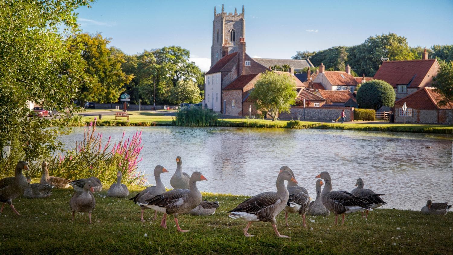 Great Massingham village view